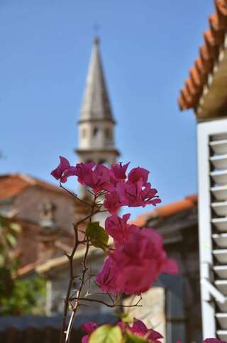 Хостелы Freedom Hostel Budva Будва-1